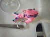 DSCF0066.JPG (1831591 byte)